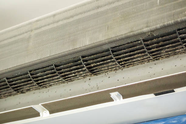 Best Commercial Air Duct Cleaning  in Kings Mills, OH
